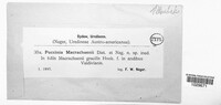 Image Associated With the Occurence